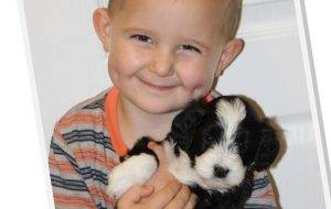 Choosing the Right Puppy