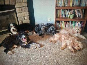They did this themselves--all organized in pairs!