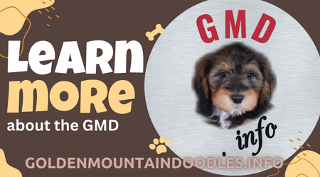 GMD Learn More
