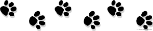 pawprints