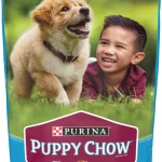 Best Puppy Products: What we Recommend