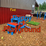 New Puppy Playground! Check out our Latest Puppy Adventure