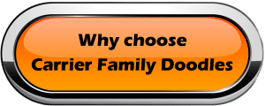 Why choose Carrier Family Doodles?