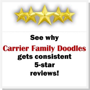 Carrier Family Doodles 5=star reviews