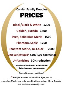 Puppy Giveaway: We gift 1 out of 10 of our puppies freely